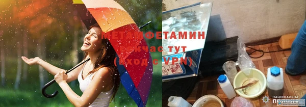 ПСИЛОЦИБИНОВЫЕ ГРИБЫ Бородино
