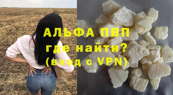 Альфа ПВП Верея