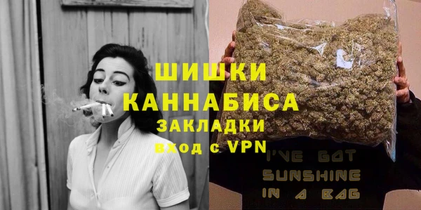 Альфа ПВП Верея