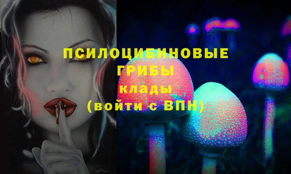 ПСИЛОЦИБИНОВЫЕ ГРИБЫ Бородино