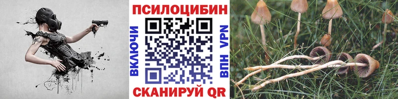 закладки  Касли  Галлюциногенные грибы GOLDEN TEACHER 