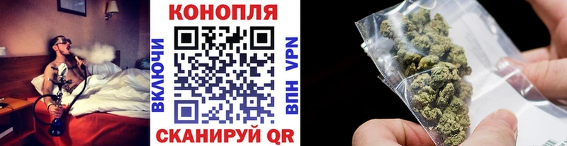 Шишки марихуана OG Kush Касли
